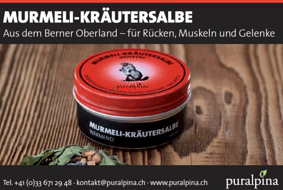 Murmeli Kräutersalbe